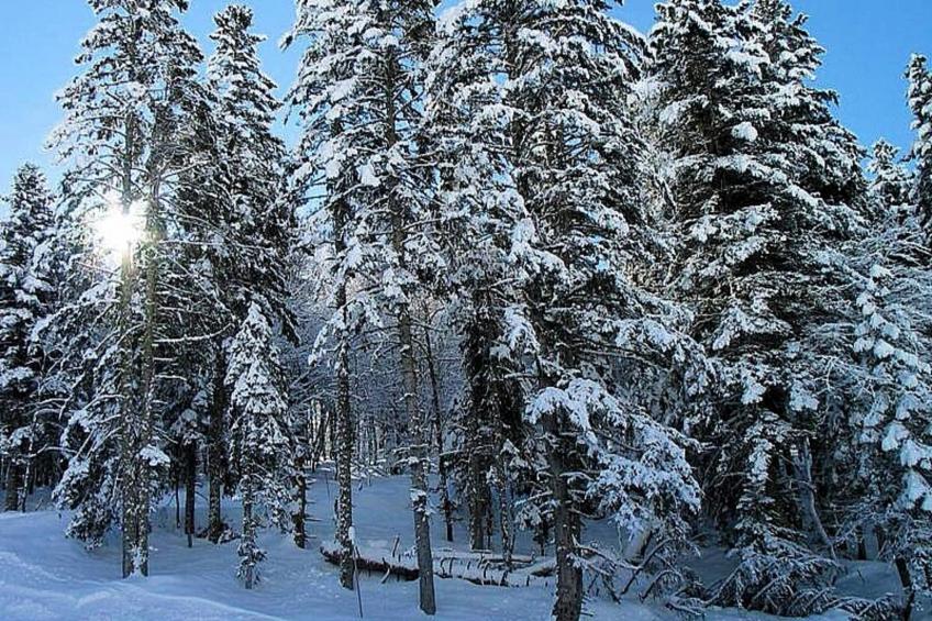 Résidence Bois De Marie - foto 29