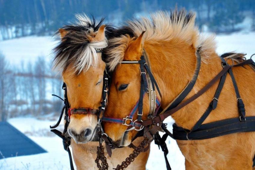 mit Wasserblick - foto 21