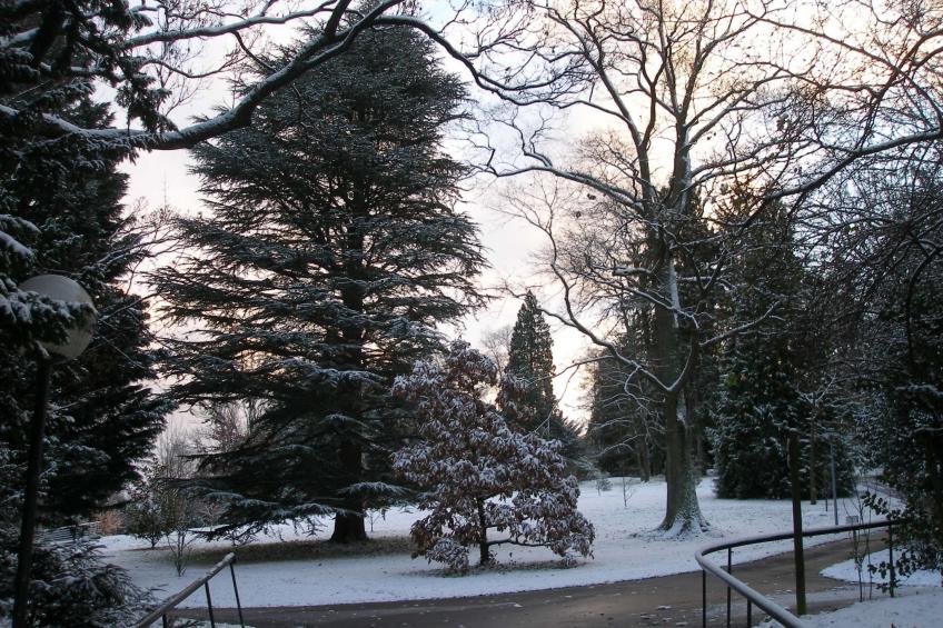 Fewo-ferber, Vogesen - foto 25