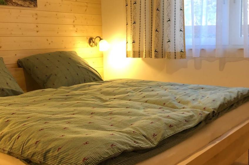 Nette Wohnung in Bad Aussee mit Garten und Grill und Bergblick - foto 31