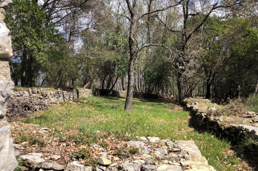 Mago in Ameglia - foto 9