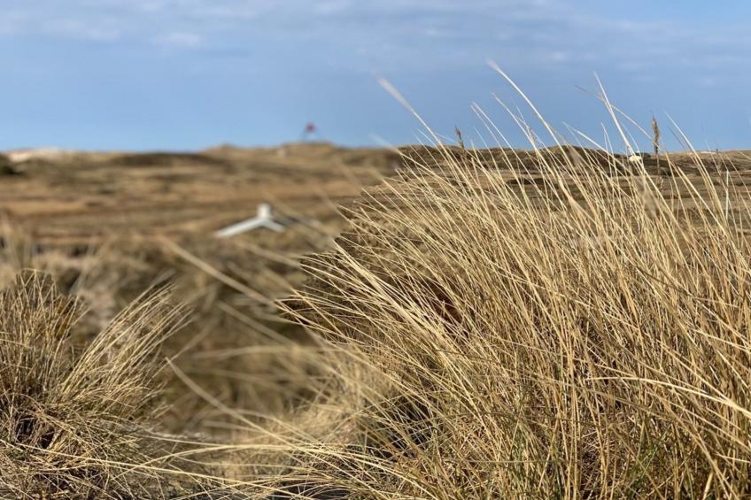 "Durita" - 600m to the inlet in Western Jutland - foto 24