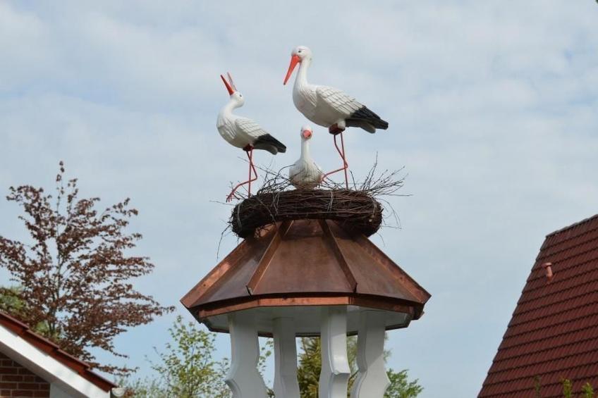 Storchennest - foto 4