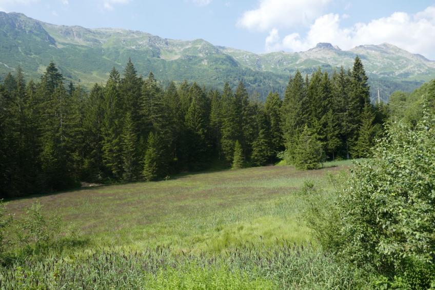 Haus Tecc Du Martin (LTC115) - foto 27