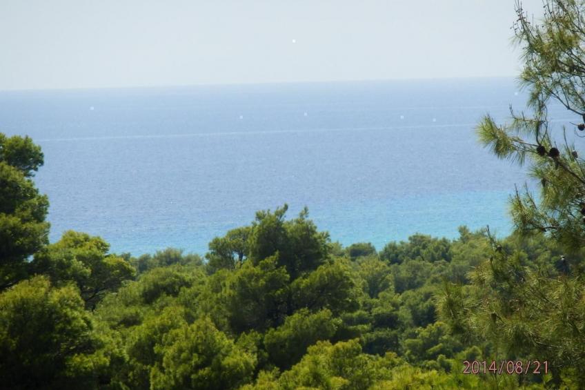 Villa Chris - foto 16