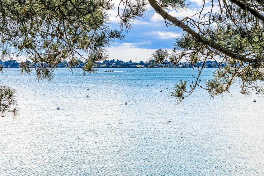 Les Iles du Morbihan - foto 13