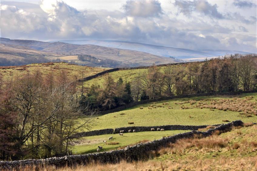 Dales Barn Top - foto 22
