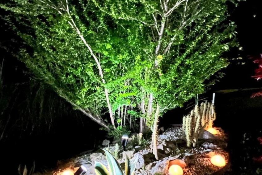 Gan Eden Nature House - foto 39