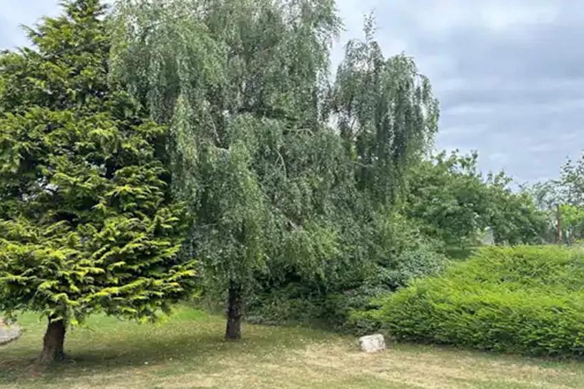 Val du Loire - foto 29