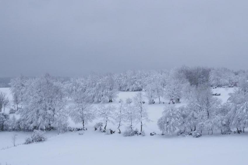 Exklusives Ferienhaus mit Terrasse und Garten - foto 35