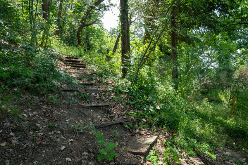 Nonna Gemma - foto 40