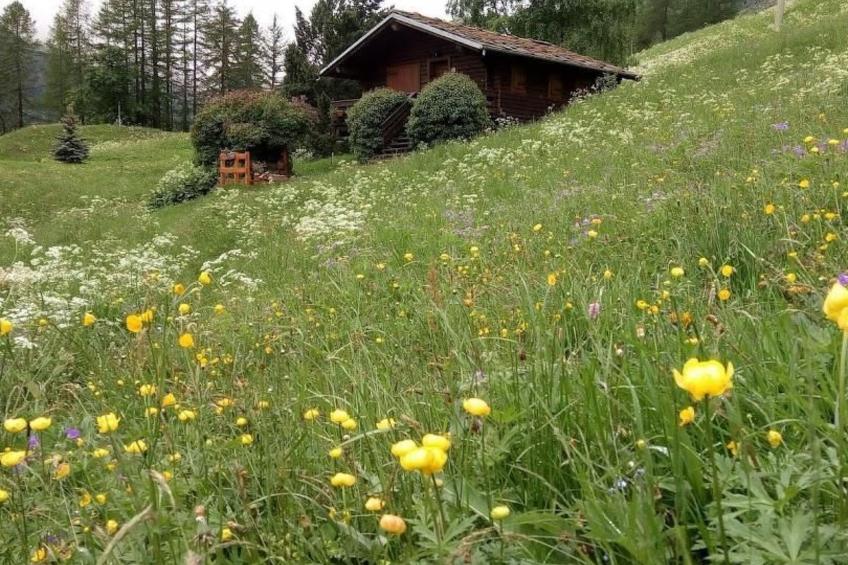'Lo Chalet' der Balkon über dem Matterhorntal - foto 7