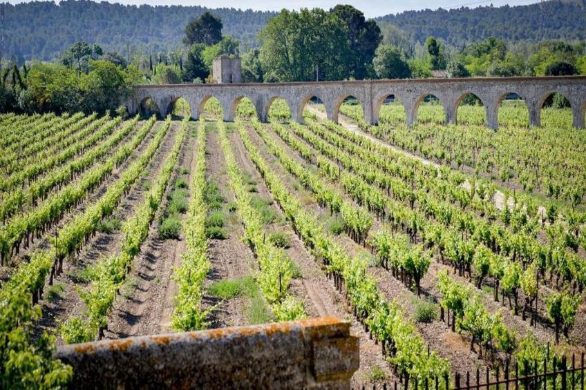 Résidence du Château de Jouarres - Azille // Apt 3 P 6 pers - foto 17