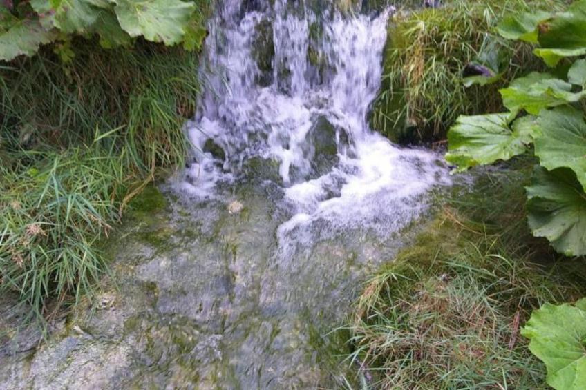 Holiday Apartment Vuković - Three Bedroom Holiday Home With Terrace - foto 23