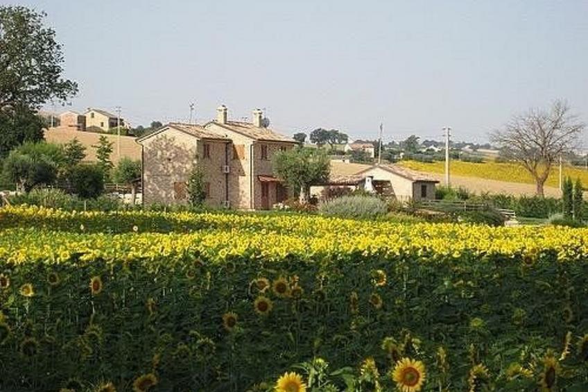 La Cascina del Poeta - foto 4