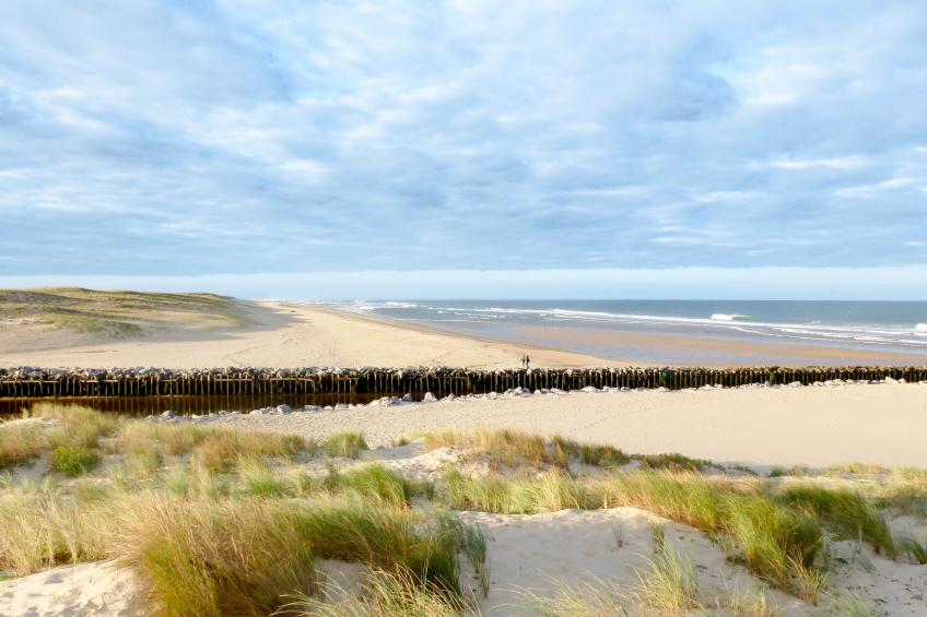 Wohnung "Contis Plage" in der Nähe des Strandes - foto 8