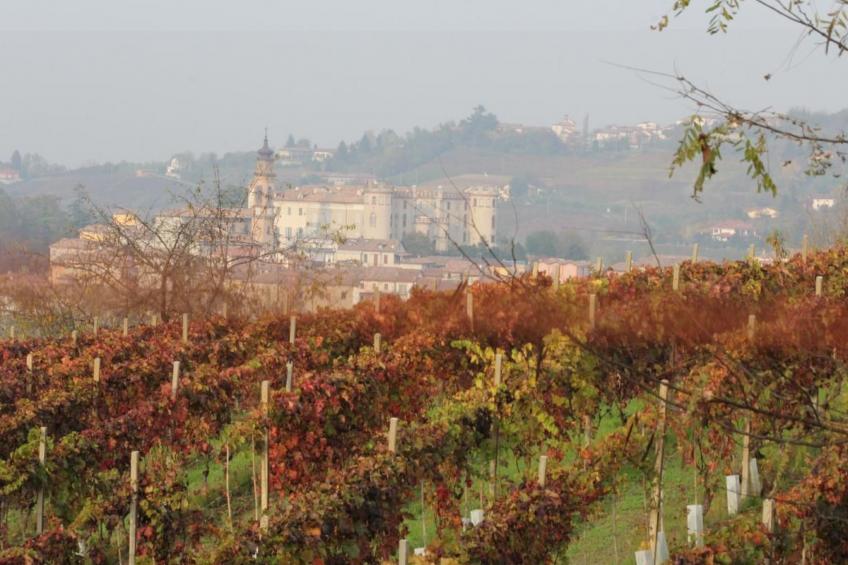 'Barbera' mit Pool - foto 18