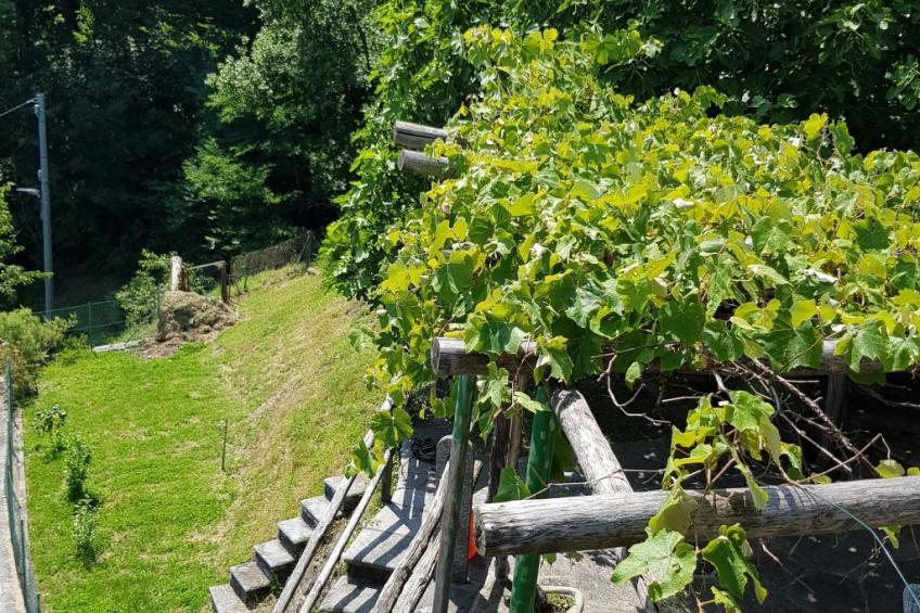 Casa Grande - foto 19