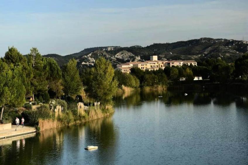 Les Coteaux de Pont Royal en Provence - maeva Home - foto 5