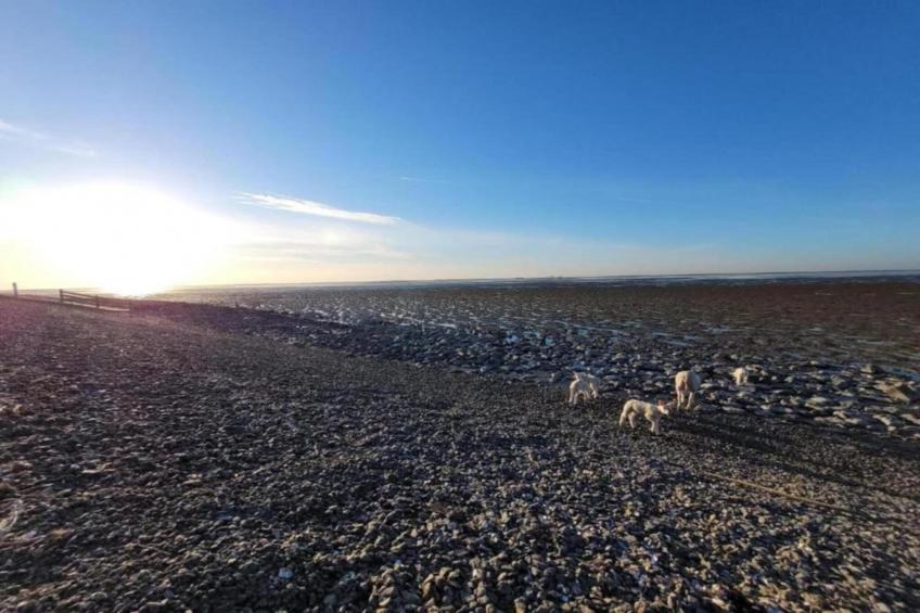 Docklodge 28 - foto 16