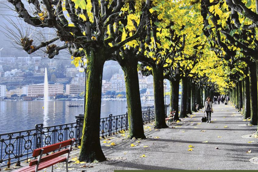 appartamento vacanze "Luxus-Wohnung" - foto 36