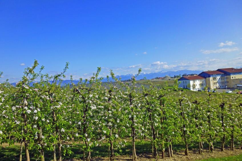 Ferien-Apartment - foto 30