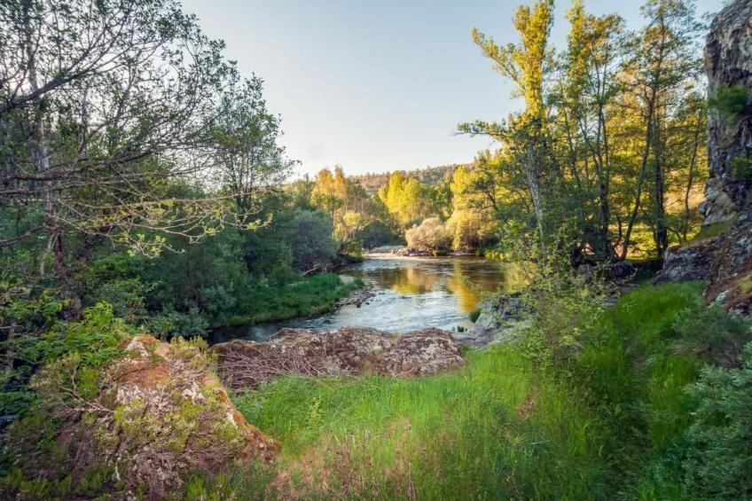 Rural House in the mountain of León - foto 16