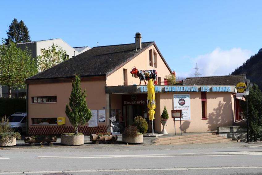 Petit Nid Douillet au Coeur de Salvan - foto 20