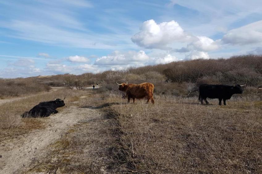 Scheveningen Harbour 18C - foto 28