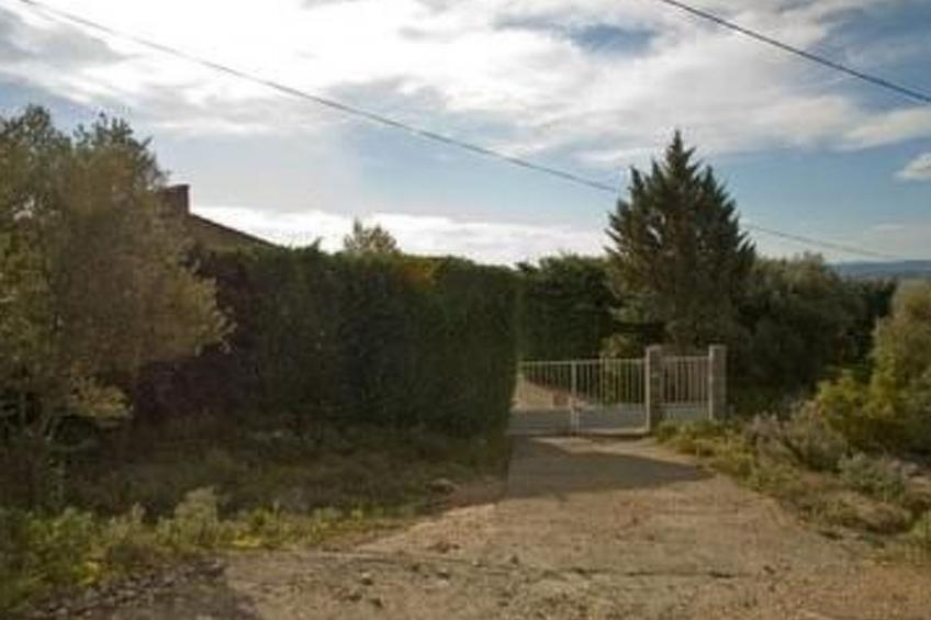 Die kleine Zikade - foto 21