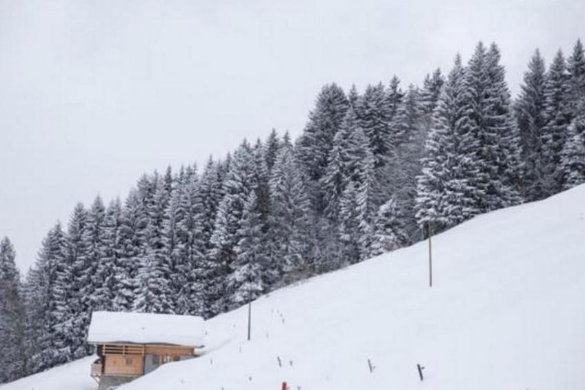 Authentisches Schweizer Alpenchalet aus dem 18. Jh. - foto 32