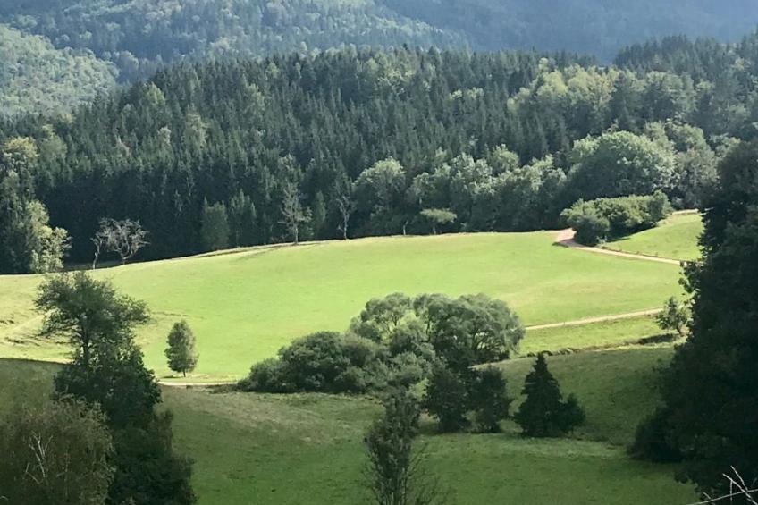 Haus Sabine - foto 6