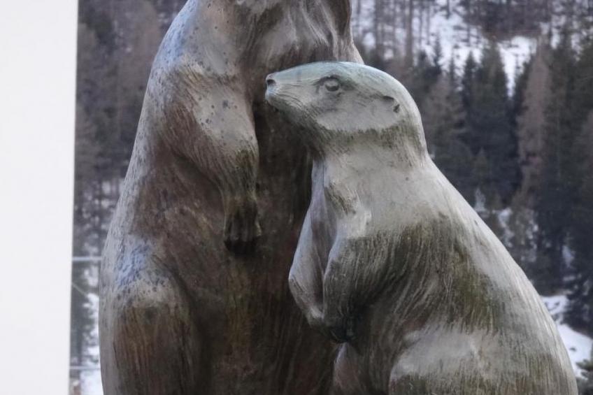 Chesa Arettas - foto 30