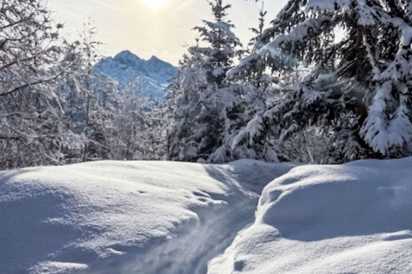 Rodas Soura 5 - foto 27