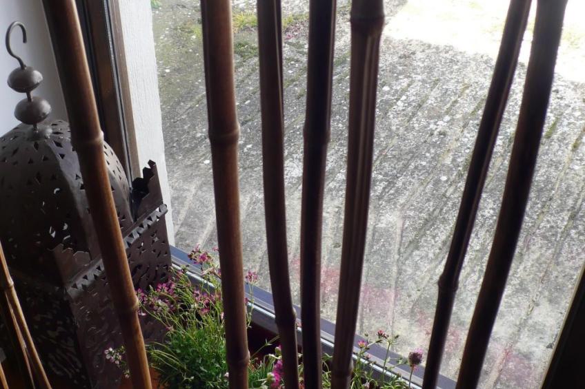 in einem kleinem Dorf nah dem Jakobweg - foto 23