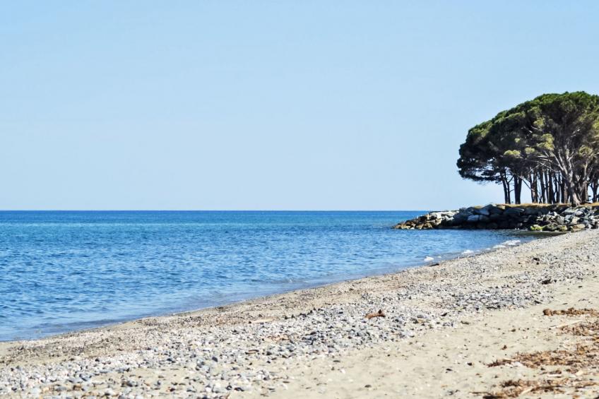 Lodge Natura 4p - foto 27