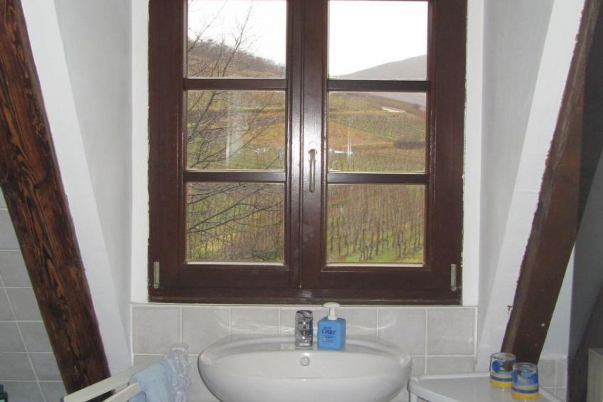 2ed-Face Vosges,im Süden,Herz Weinberg,Ruhig,WiFi - foto 11