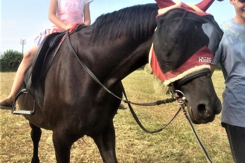 Das Landgut "Corte Canale Virgilio" mit Balkon - foto 28