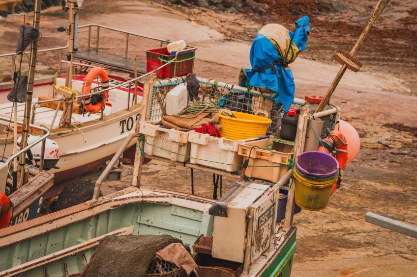 Dingles Cottage - foto 21