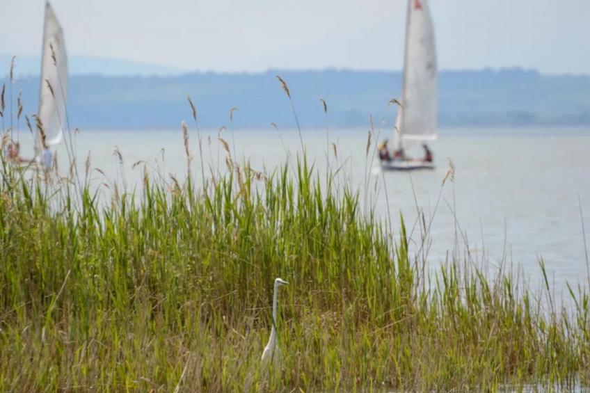 Guesthouse Spa Leithagebirge - foto 13