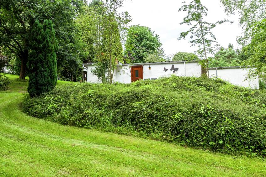 Trou de Reinard- Domaine Ecureuil - foto 9