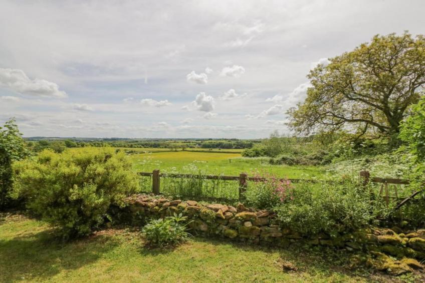 The Campion - foto 24