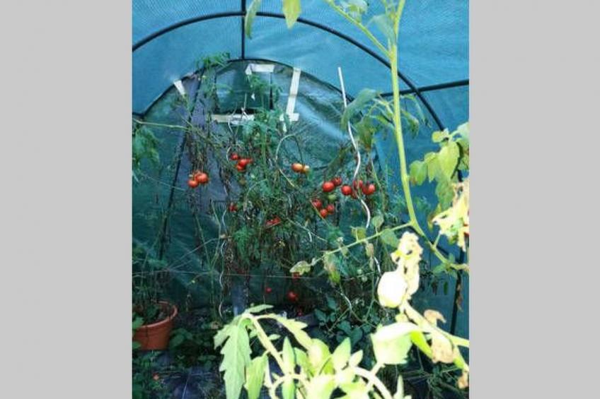 für 8 Personen - foto 41