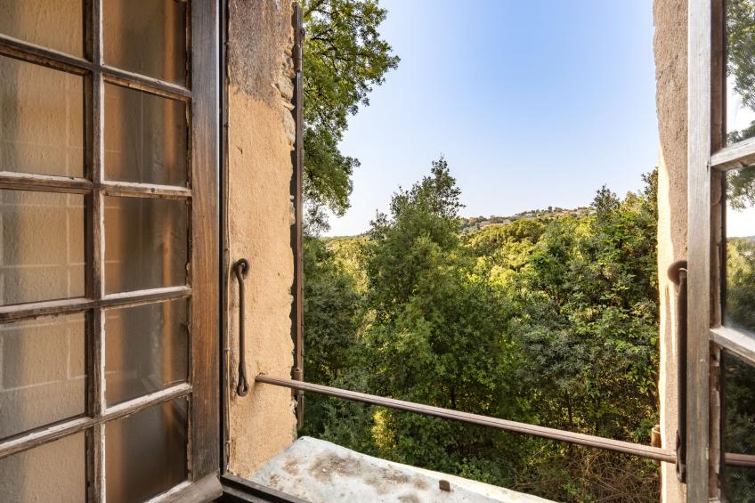 Formicaccia - foto 14