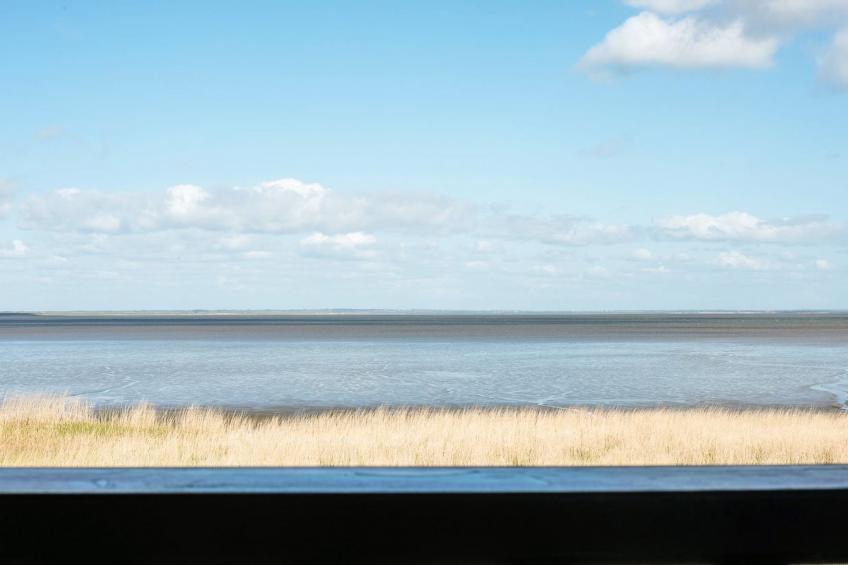 "Deljan" - 3.5km from the sea in Western Jutland - foto 14