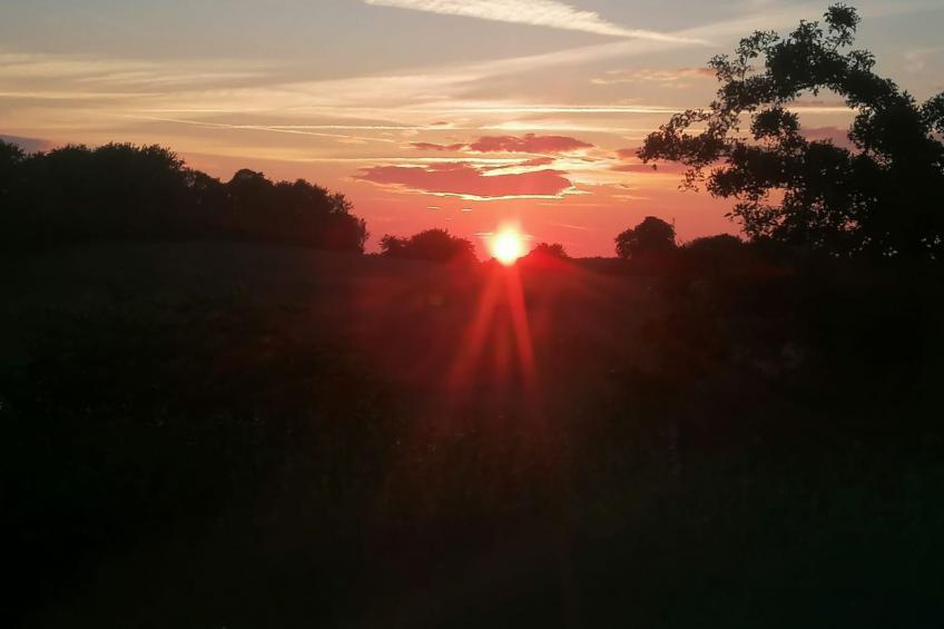 Rügen - Promoisel - Auszeit am Kreidesee, zwischen Sassnitz und Sagard - foto 19