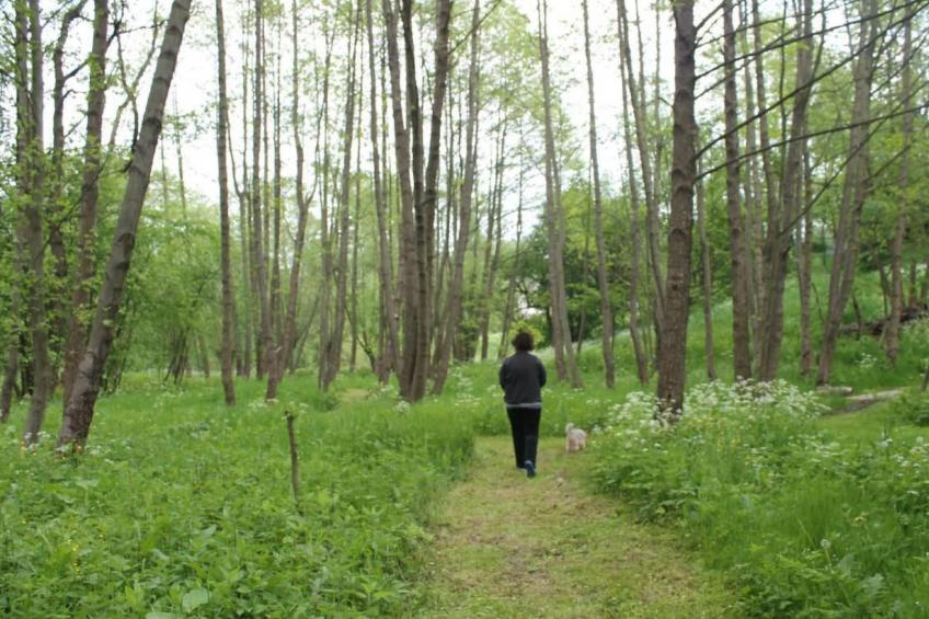 Komfortables Ferienhaus Ewa in Meszna Opacka - foto 23