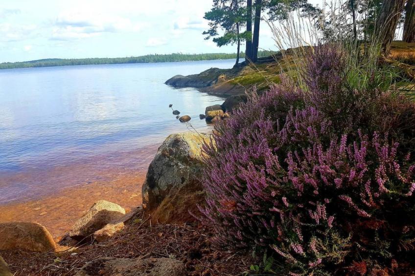 Särskilda - foto 30