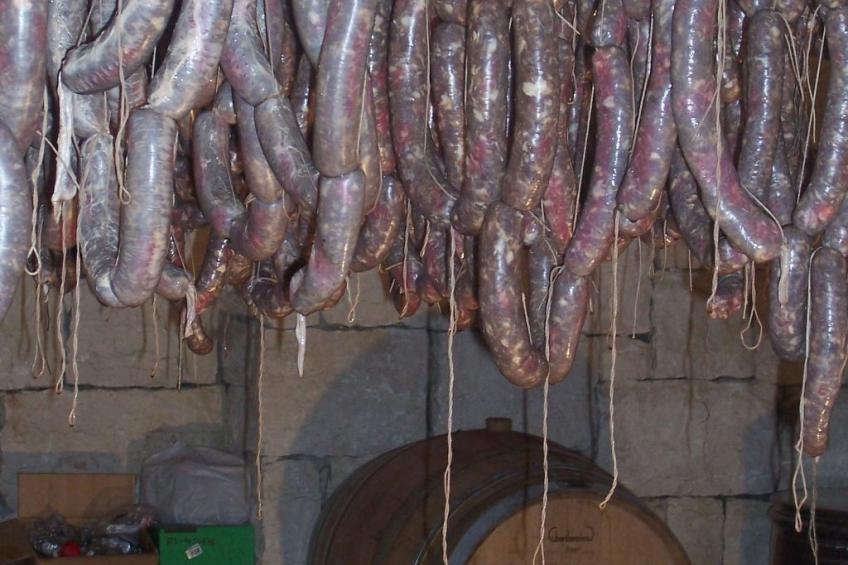 Gala+ Vernatsch - foto 22