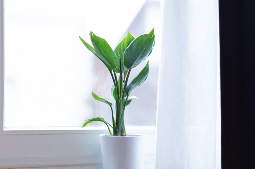 Apartment 54 - foto 16